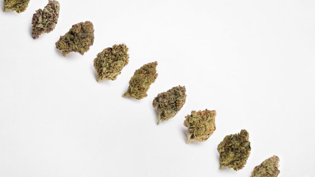 גמילה מתרופות מרשם